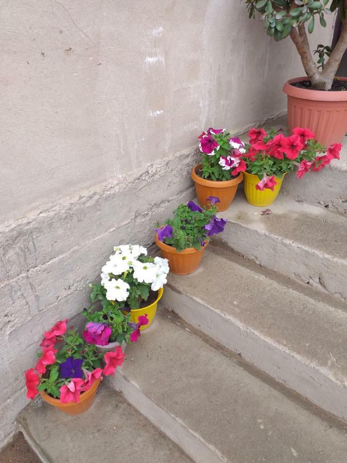 Ecoulan Bed & Breakfast Kochkor Exterior foto
